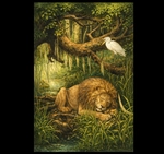 Lev odpočívající v lesích starověkých zemí Indu